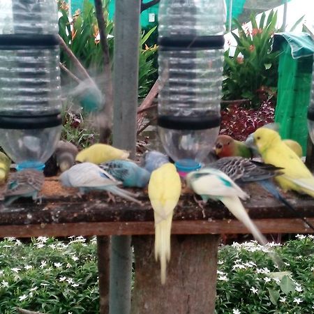 パンタイ・サナング T Gardenヴィラ エクステリア 写真