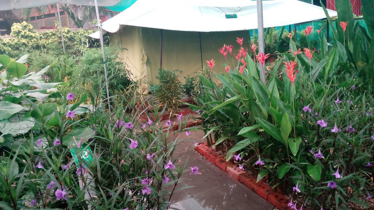 パンタイ・サナング T Gardenヴィラ エクステリア 写真